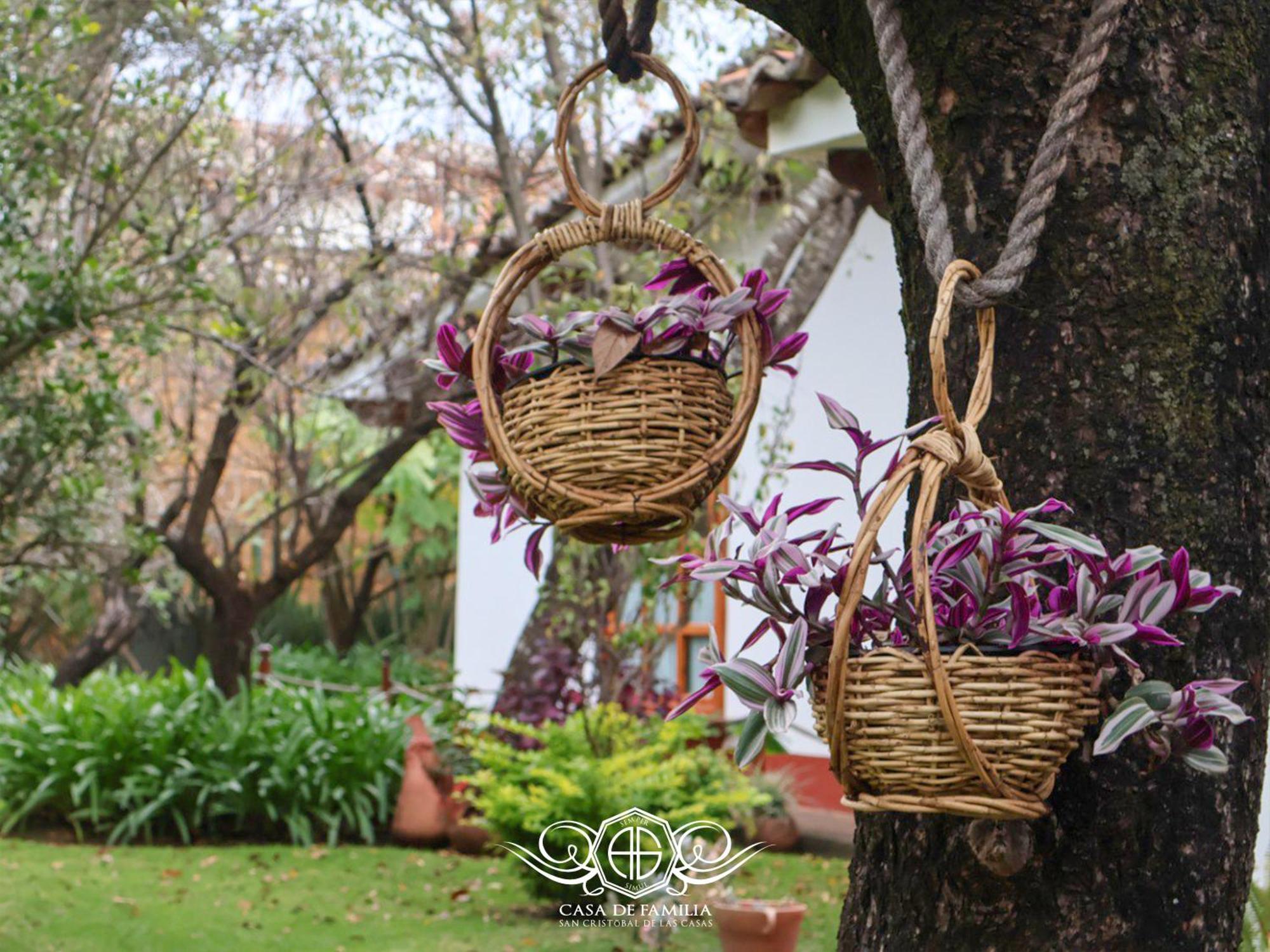 Hotel Casa De Familia De San Cristobal San Cristóbal de Las Casas 外观 照片